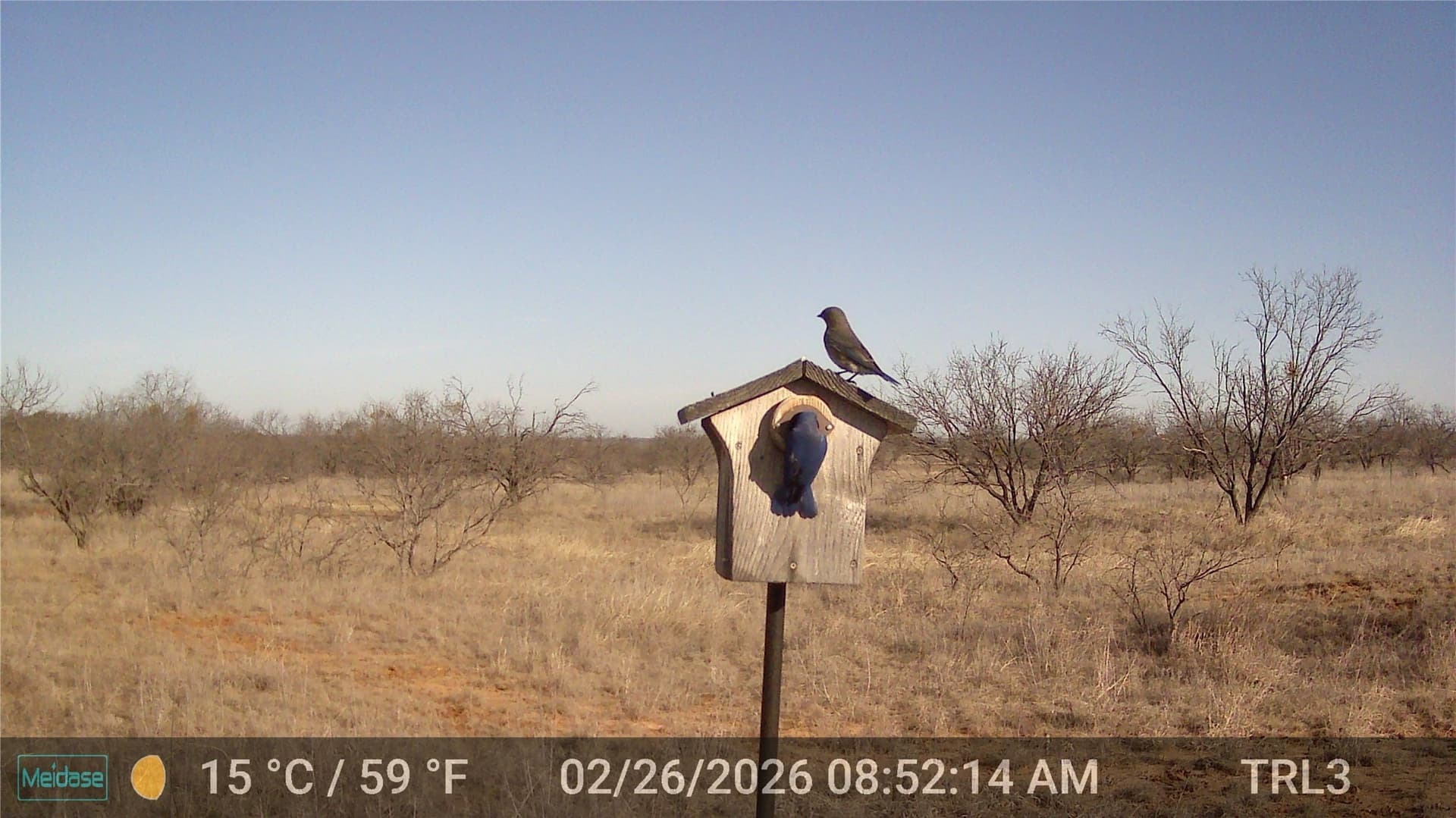 28.26 acres in Eastland County - photo 9