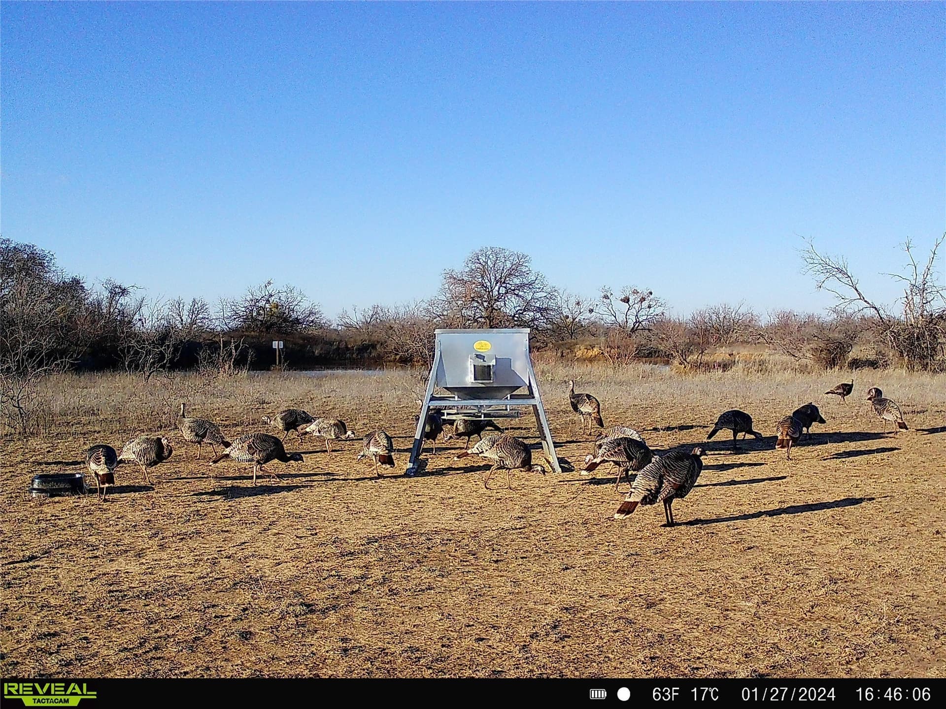 28.26 acres in Eastland County - photo 22