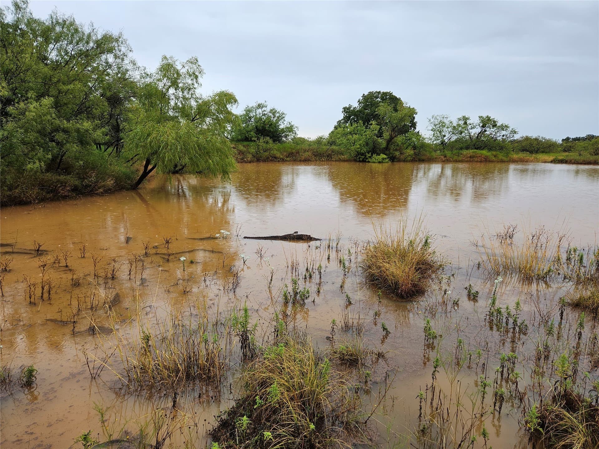 28.26 acres in Eastland County - photo 27