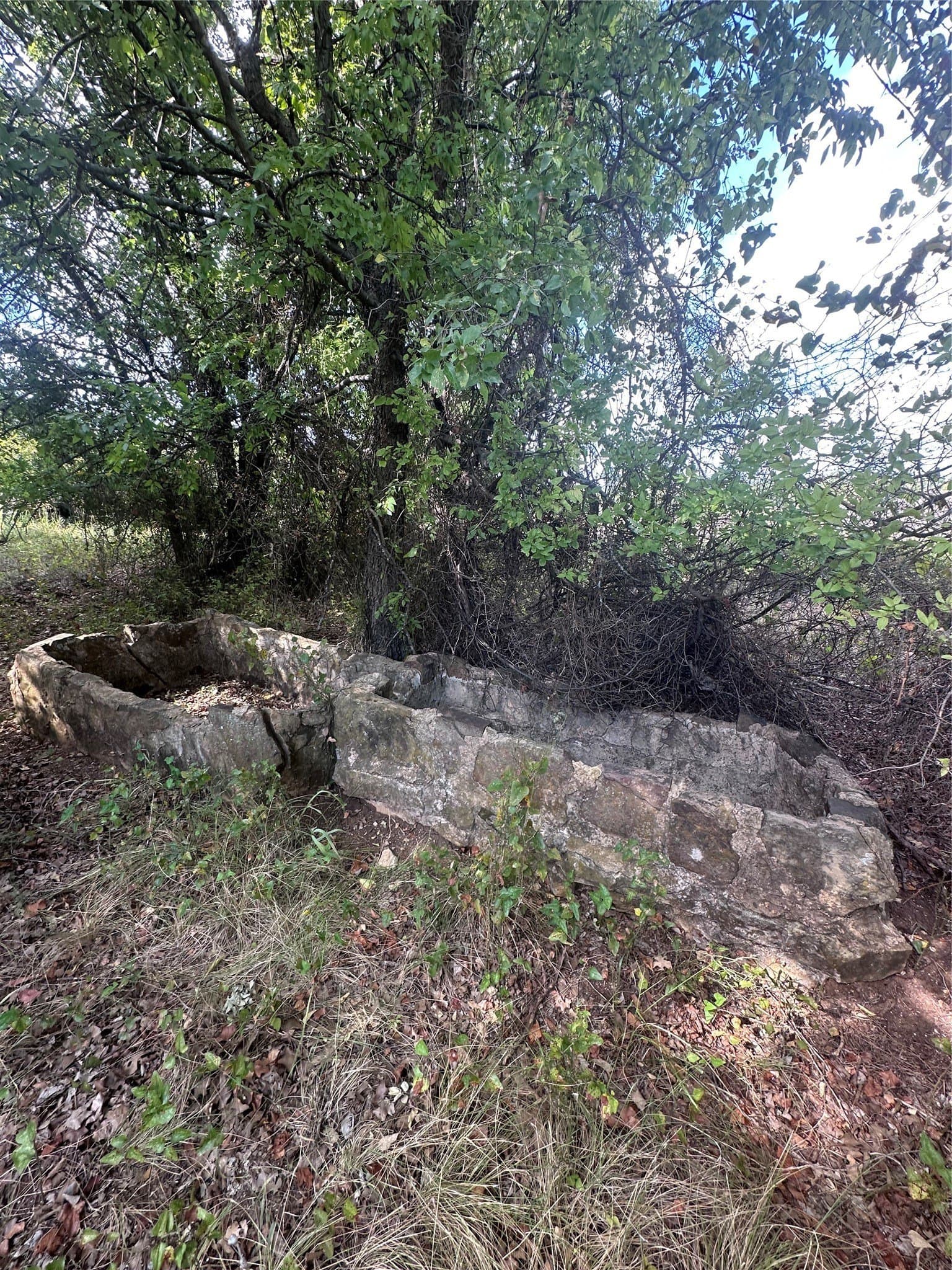 28.26 acres in Eastland County - photo 28
