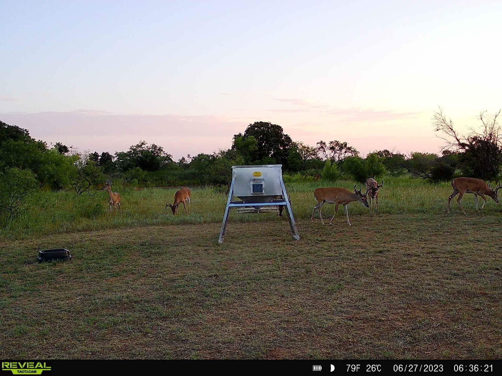 28.26 acres in Eastland County - photo 15