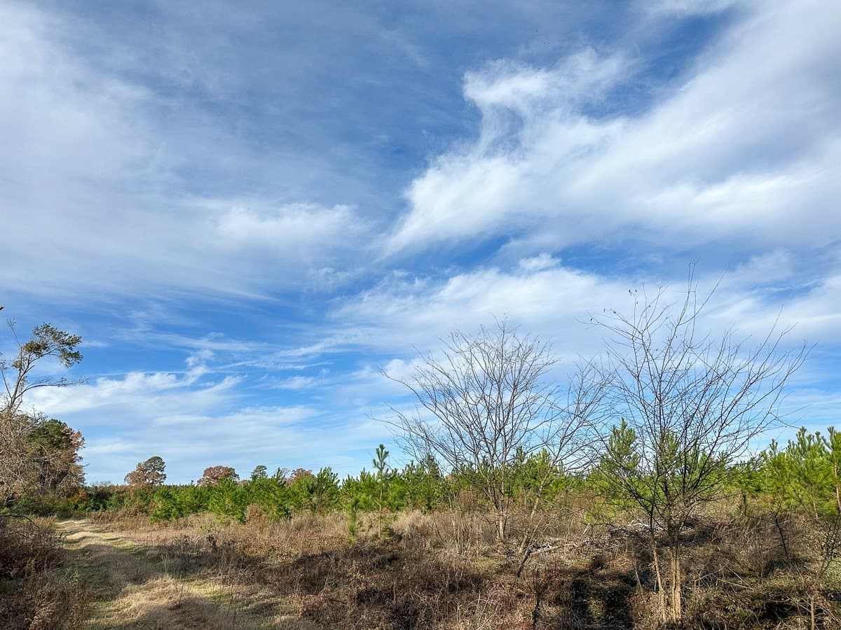 433 acres in Morris County - photo 7