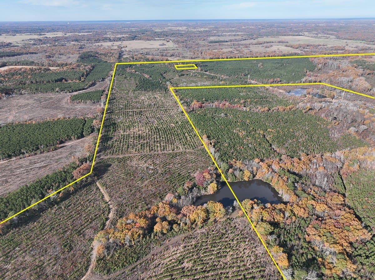 433 acres in Morris County - photo 2