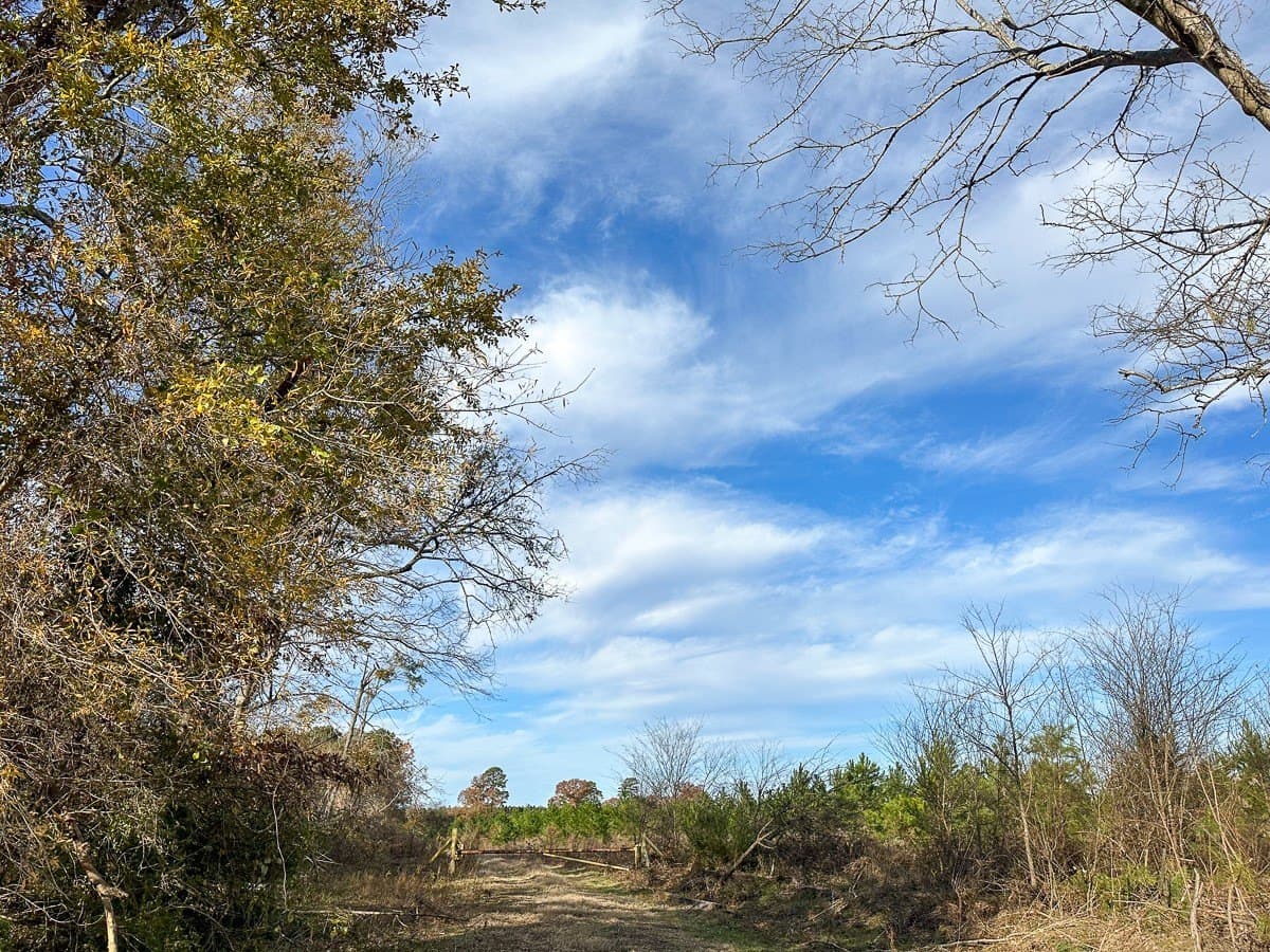 433 acres in Morris County - photo 6
