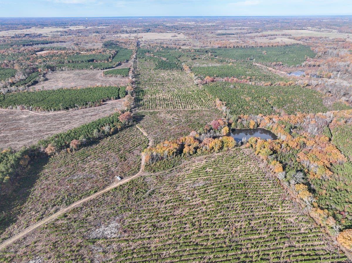 433 acres in Morris County - photo 3
