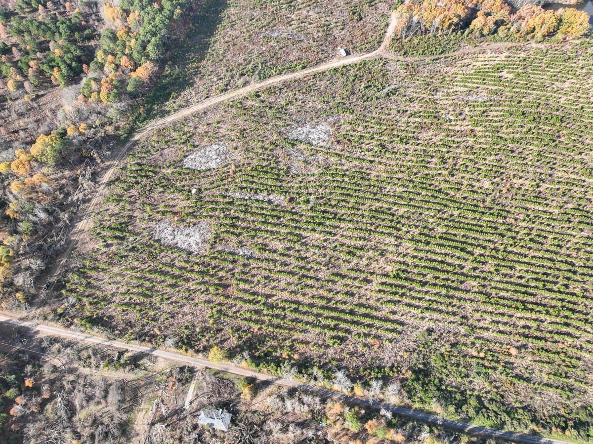 433 acres in Morris County - photo 10