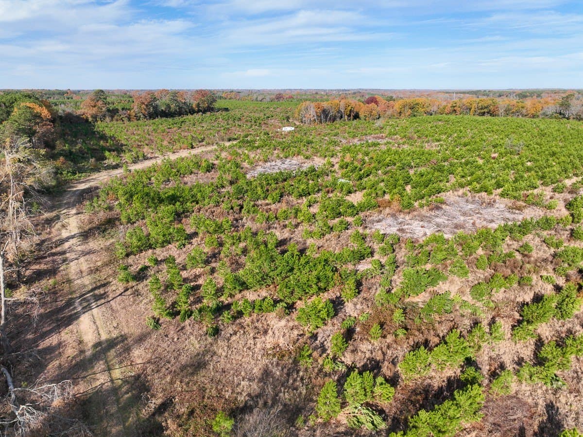 433 acres in Morris County - photo 5
