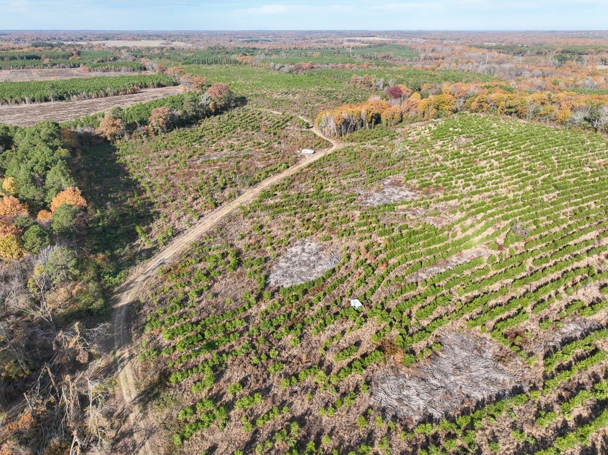 433 acres in Morris County - photo 4
