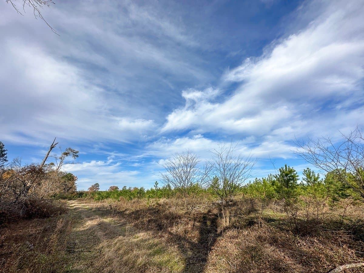 433 acres in Morris County - photo 8