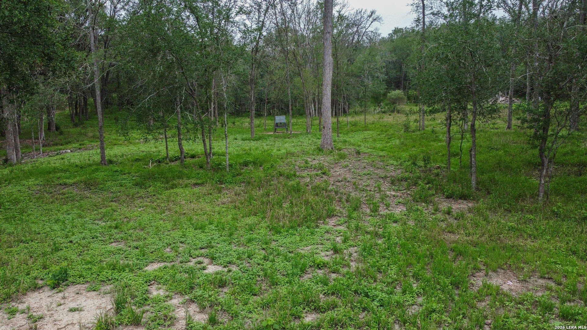 0.44 acres in Guadalupe County - photo 9