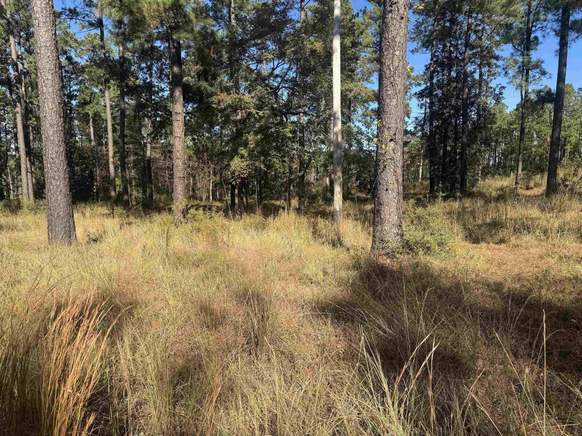 1 acres in Texas County