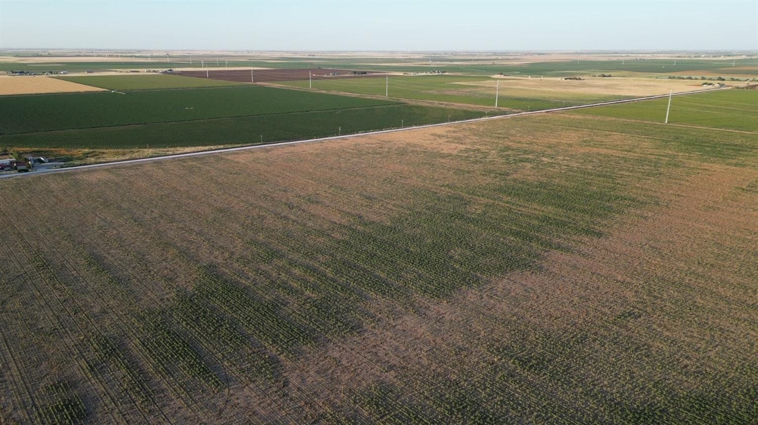 10.01 acres in Lubbock County gallery image 2