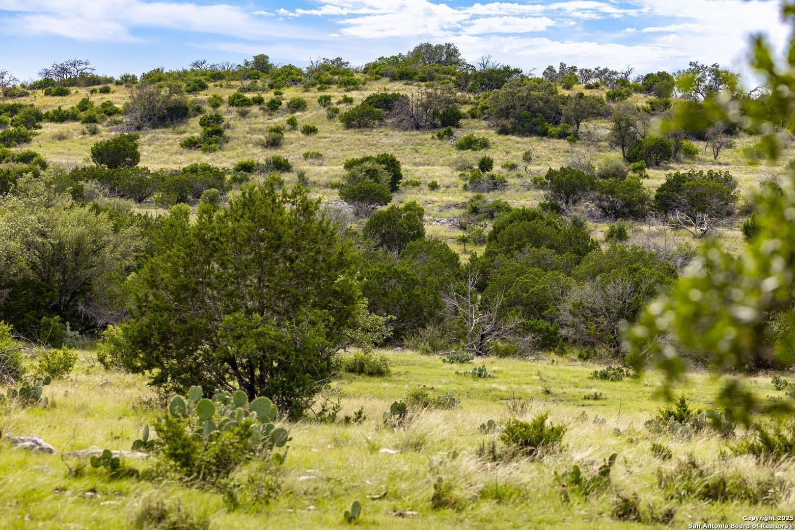 25.66 acres in Edwards County featured view