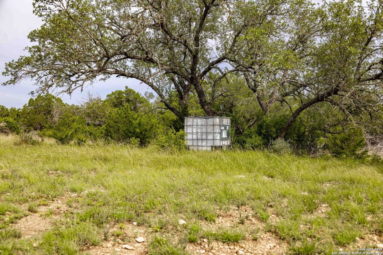 25.66 acres in Edwards County gallery image 2