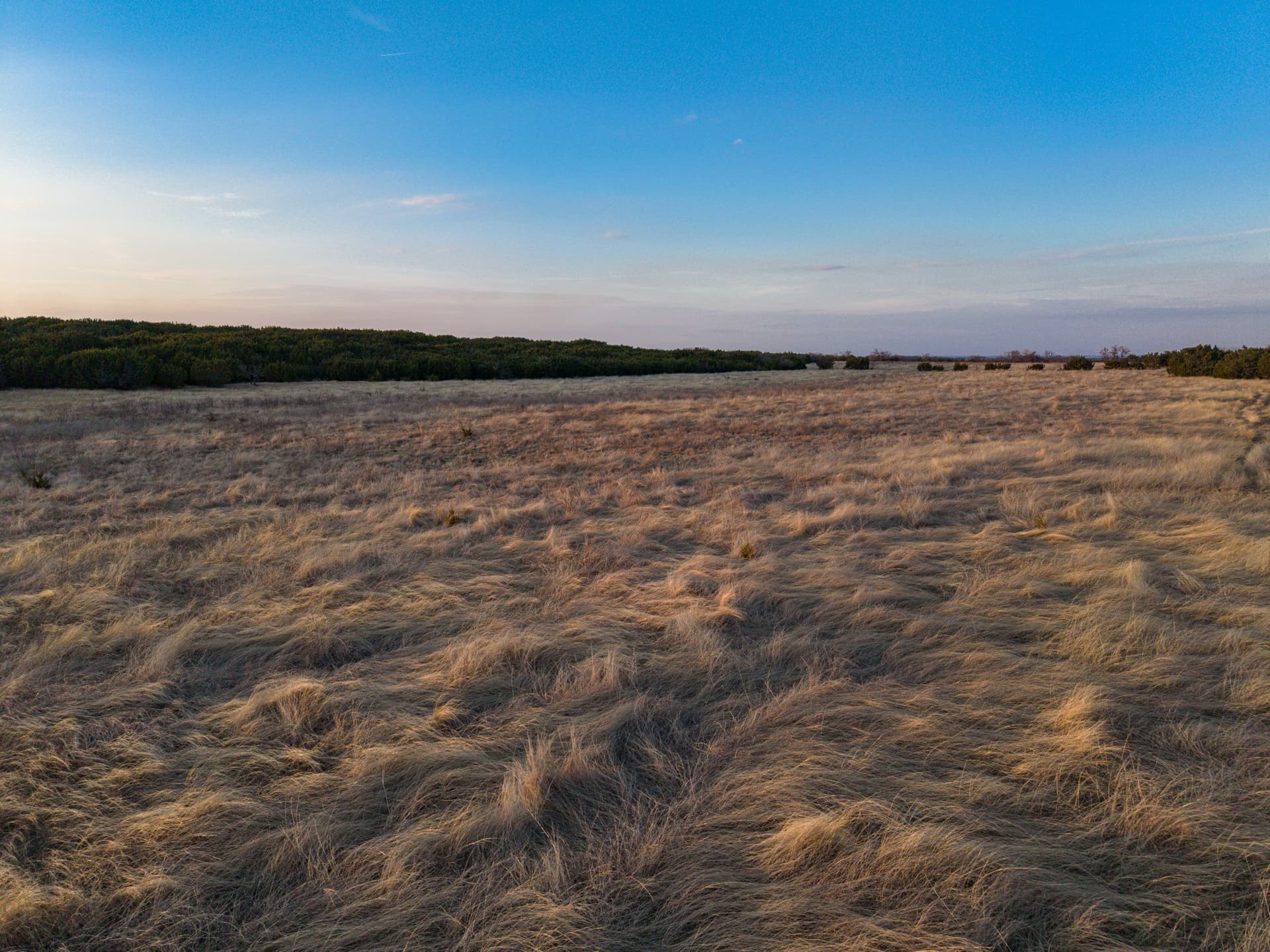 203.16 acres in Coryell County - photo 29