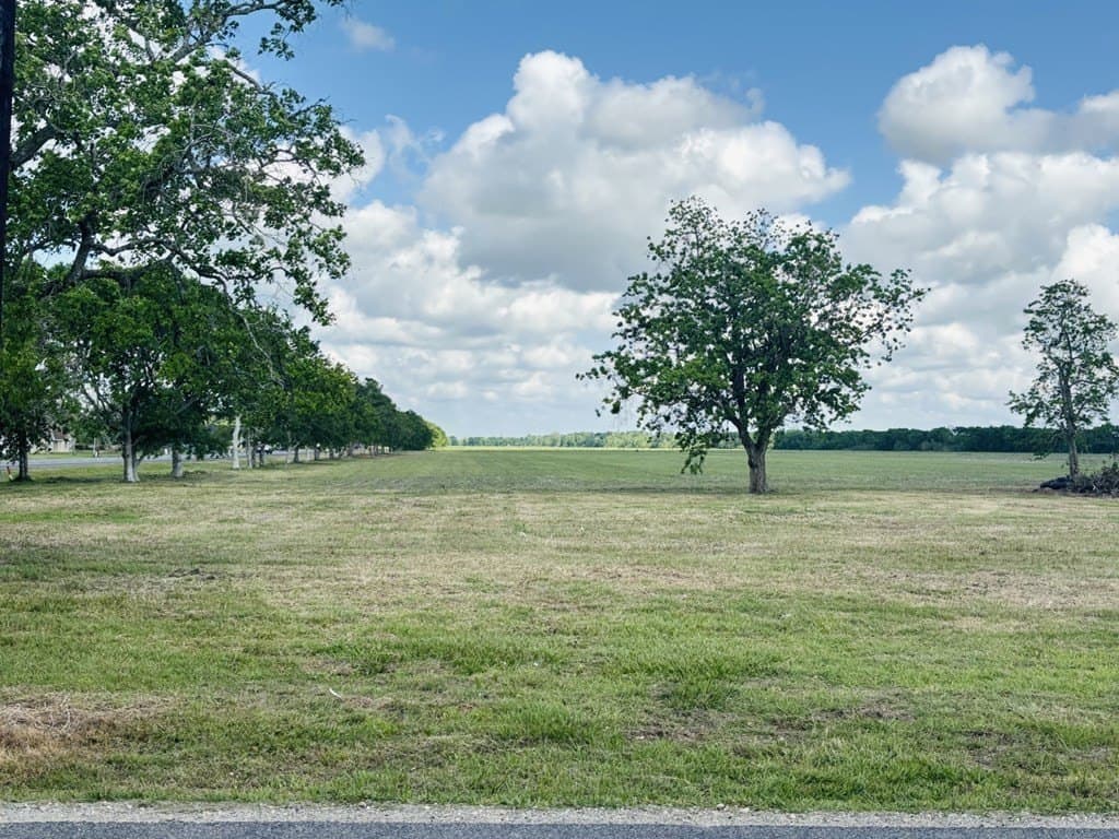 5 acres in Bay City County - photo 4