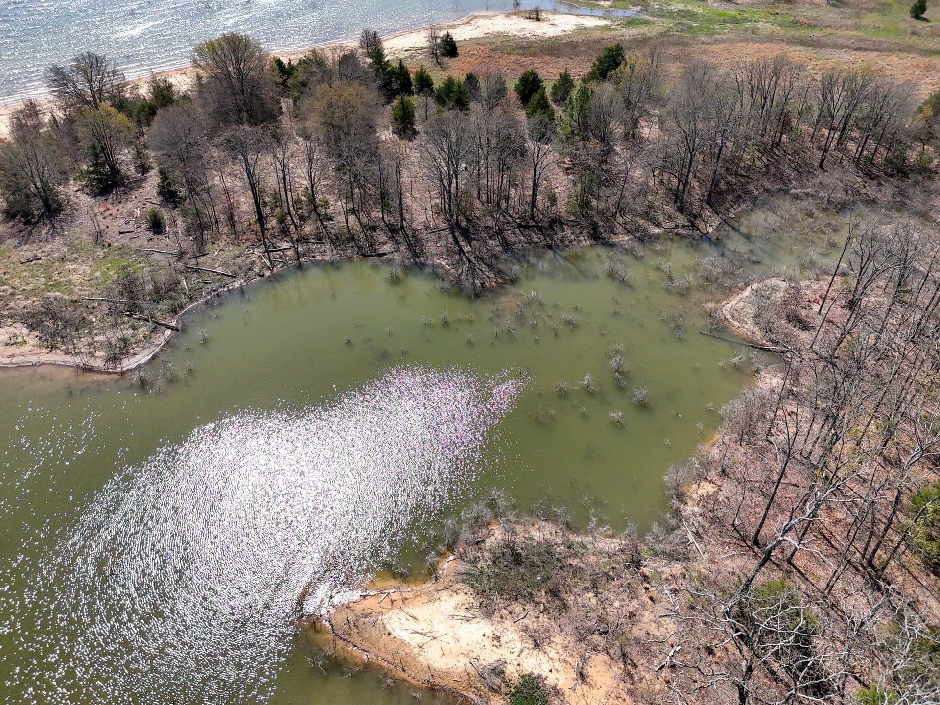 2.96 acres in Fannin County - photo 15