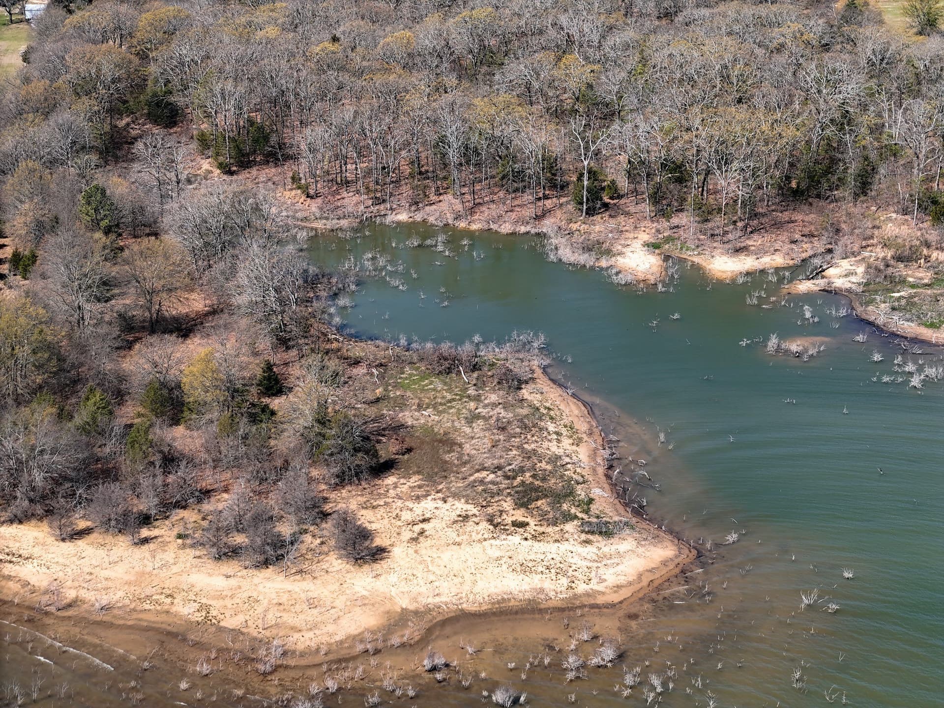 2.96 acres in Fannin County - photo 29