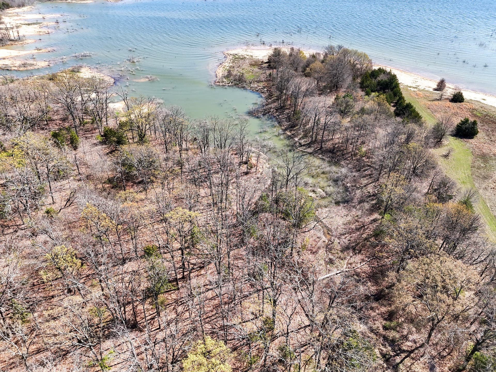 2.96 acres in Fannin County - photo 11