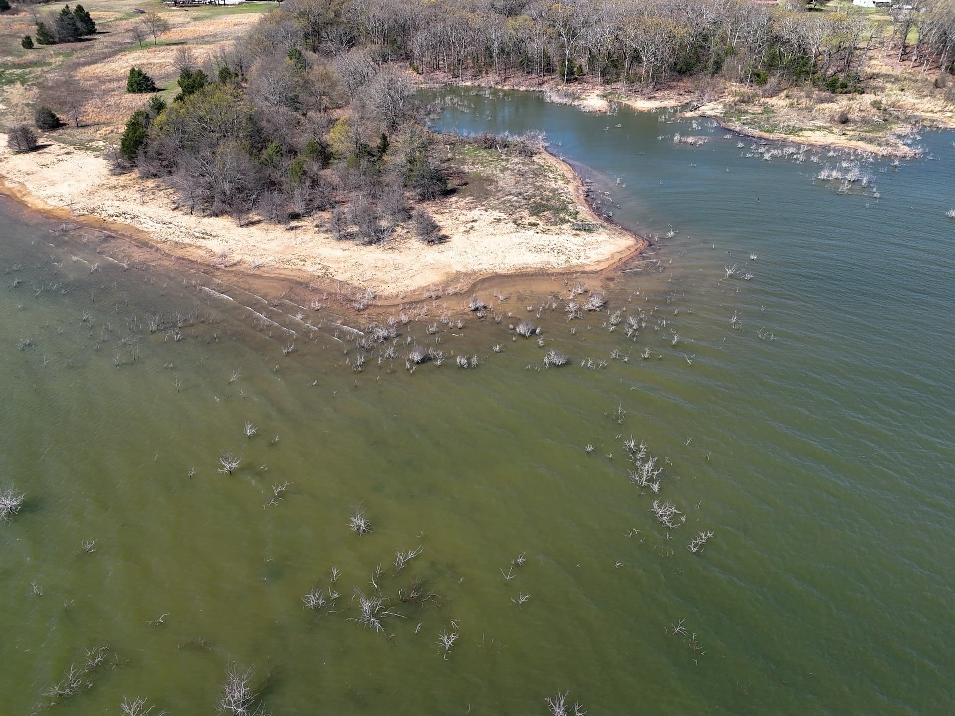2.96 acres in Fannin County - photo 30