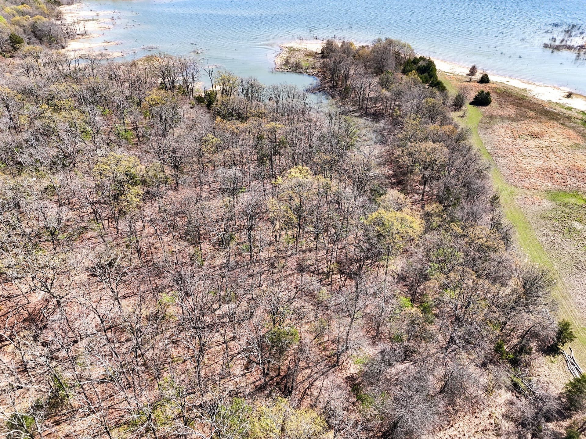 2.96 acres in Fannin County - photo 10
