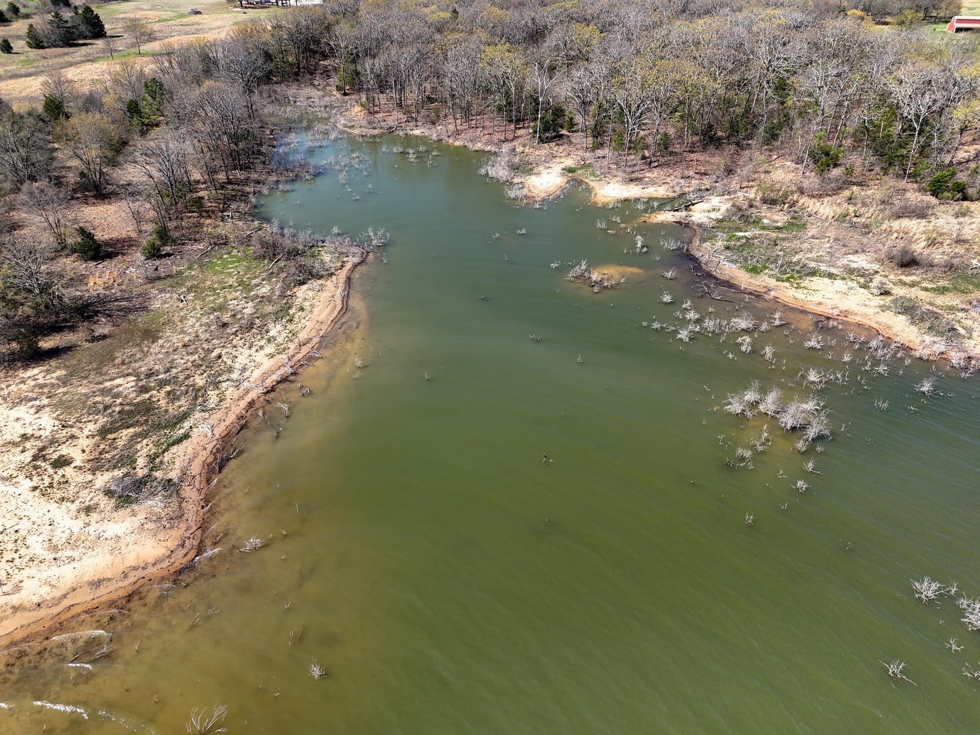 2.96 acres in Fannin County - photo 31