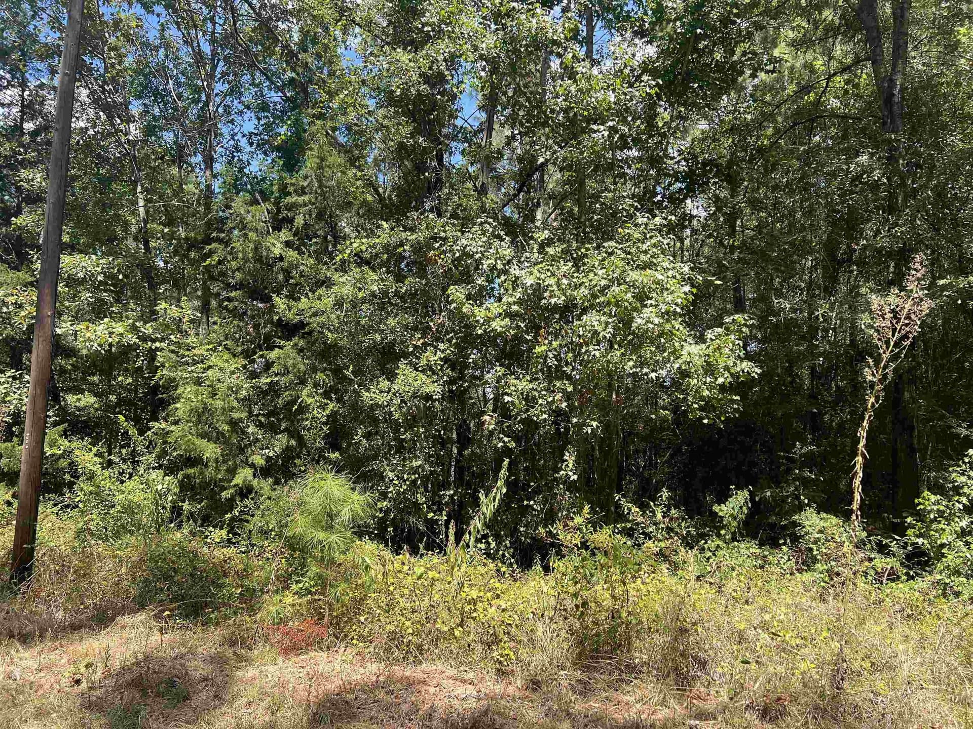10.48 acres in Panola County - photo 3