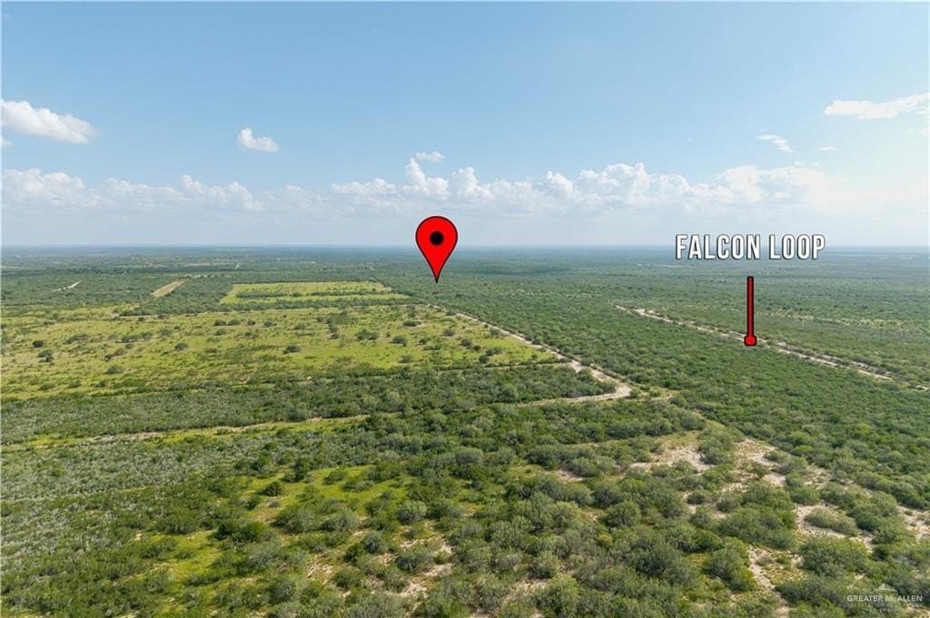 16.57 acres in Starr County gallery image 2