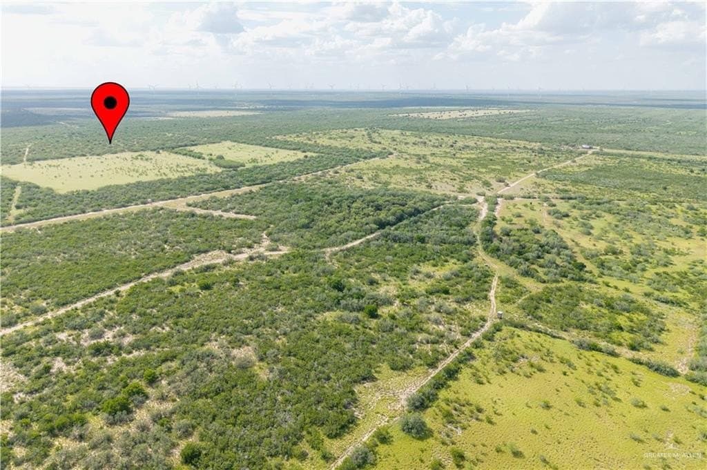 16.57 acres in Starr County gallery image 4