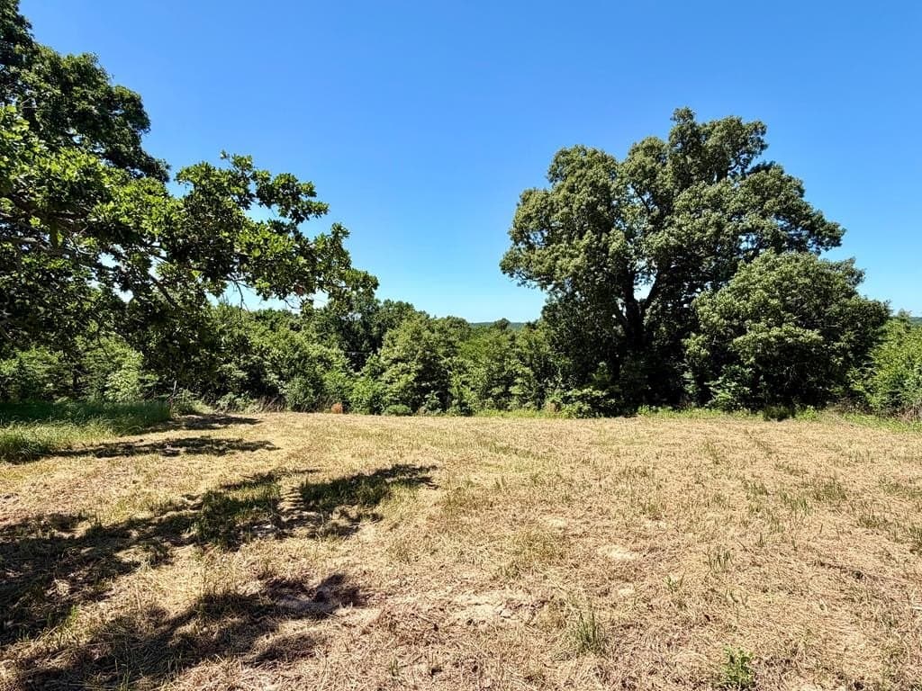 1.51 acres in Henderson County - photo 6