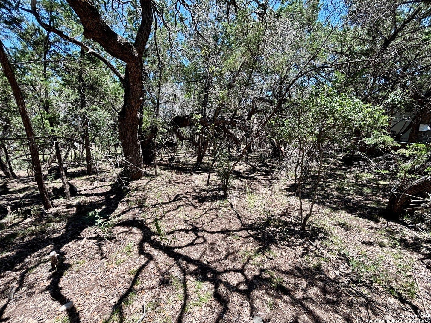 0.19 acres in Bandera County - photo 8