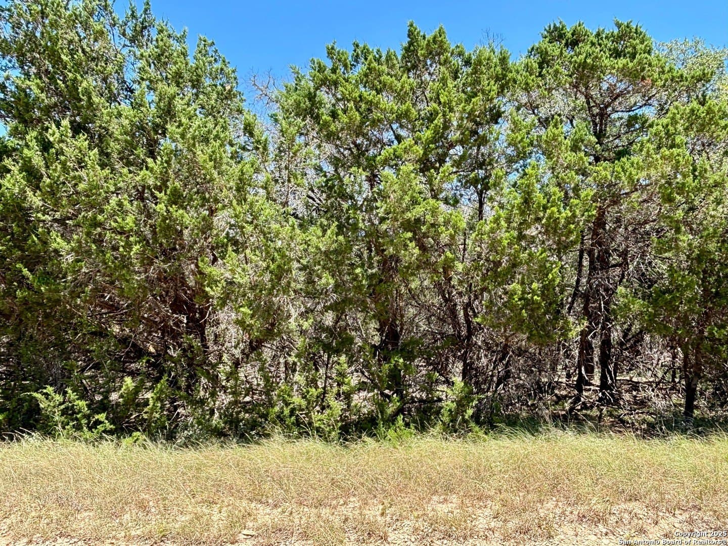 0.19 acres in Bandera County gallery image 3