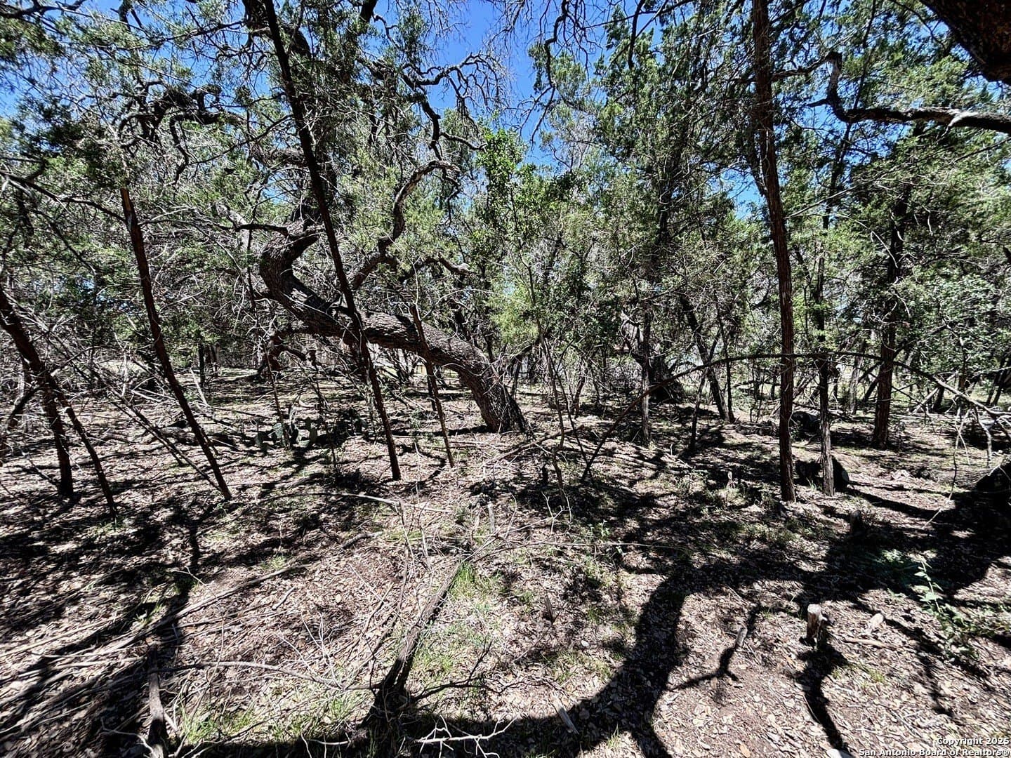 0.19 acres in Bandera County - photo 9