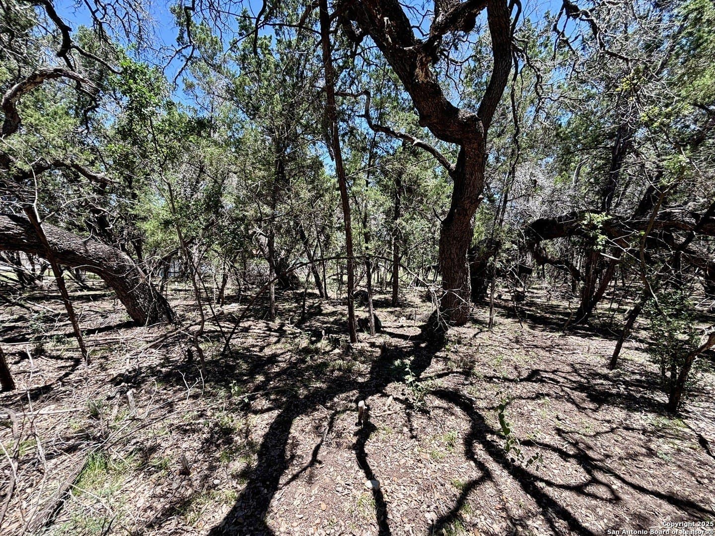 0.19 acres in Bandera County - photo 7