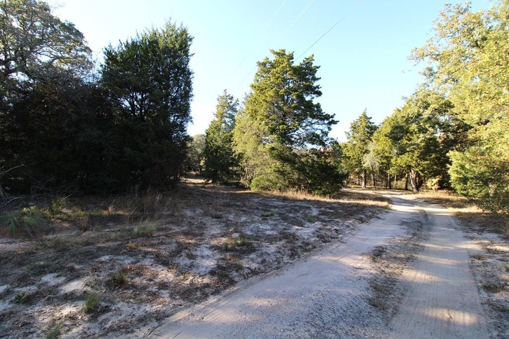 12.12 acres in Henderson County gallery image 4
