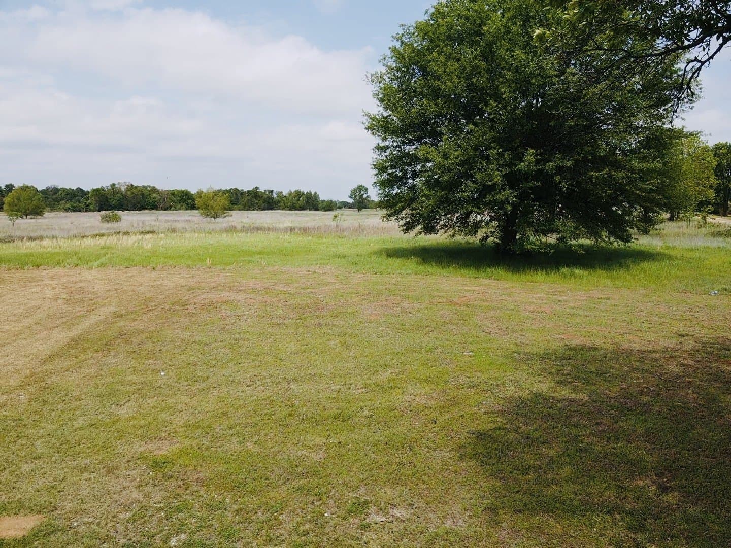 3 acres in Lamar County - photo 11