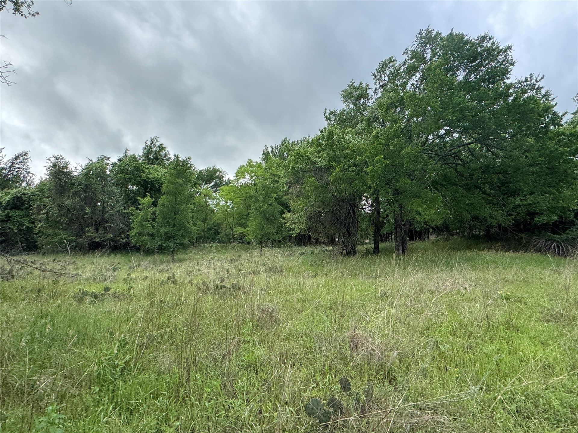 21.19 acres in Parker County - photo 6