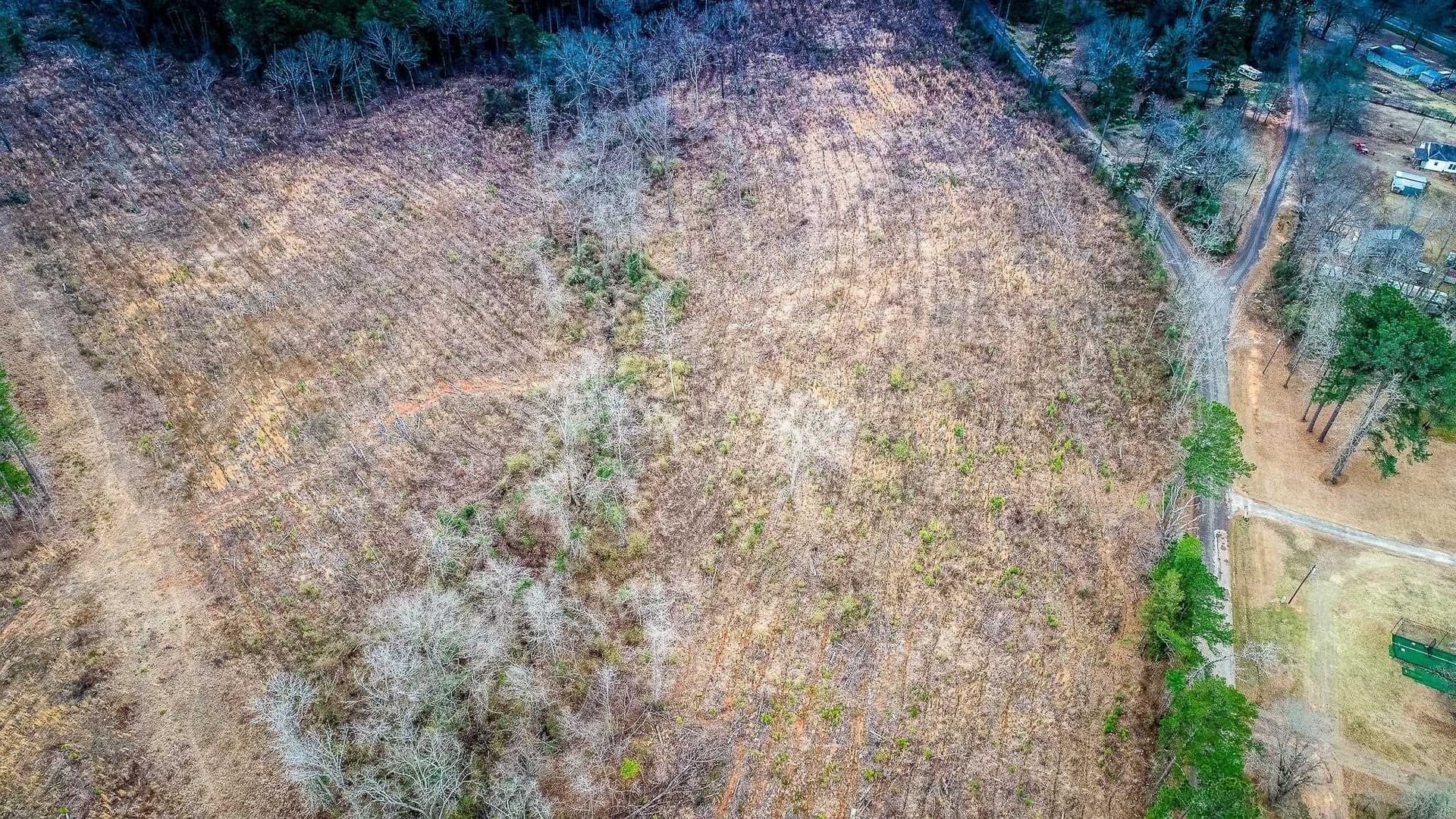 2 acres in Upshur County - photo 4