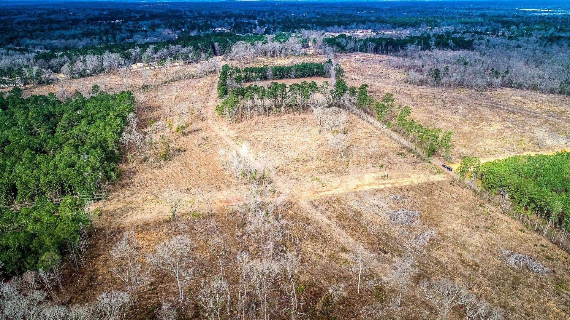 2 acres in Upshur County - photo 7