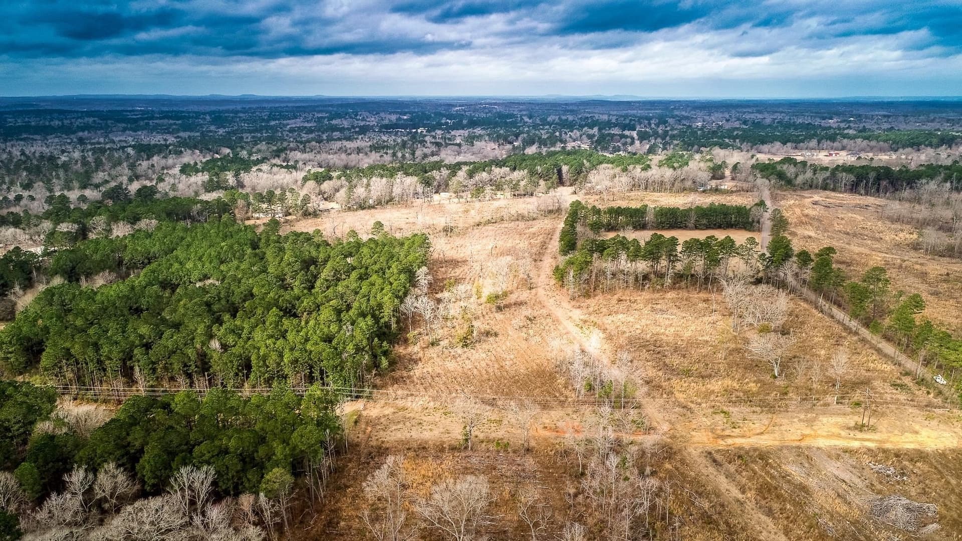 2 acres in Upshur County - photo 6