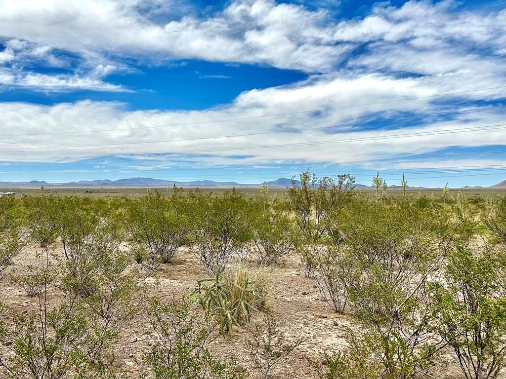 5 acres in Presidio County featured view