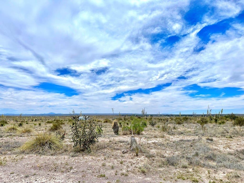 5 acres in Presidio County gallery image 3