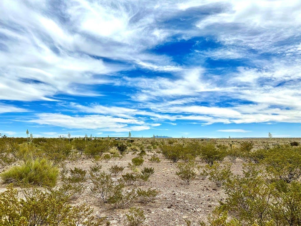 5 acres in Presidio County gallery image 4