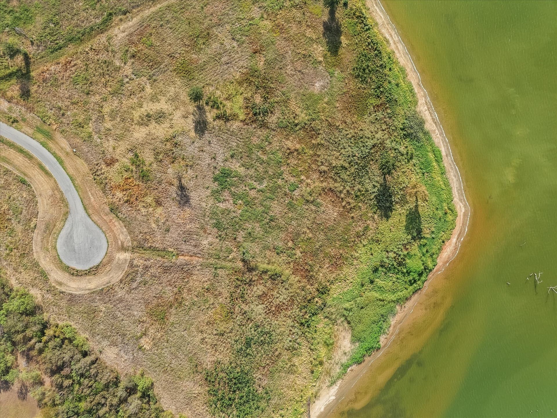 2.33 acres in Navarro County - photo 4