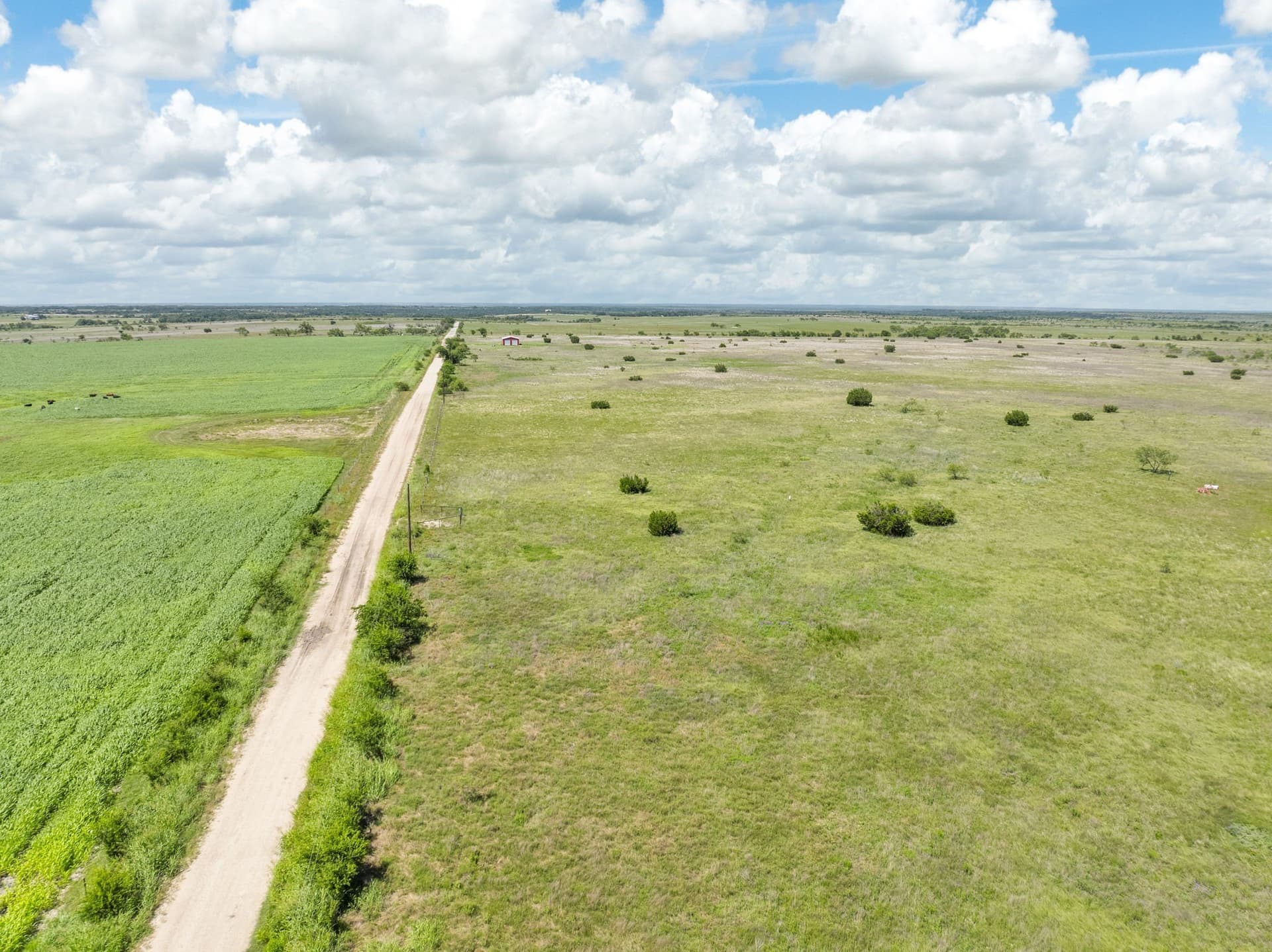 20.28 acres in Hamilton County - photo 6