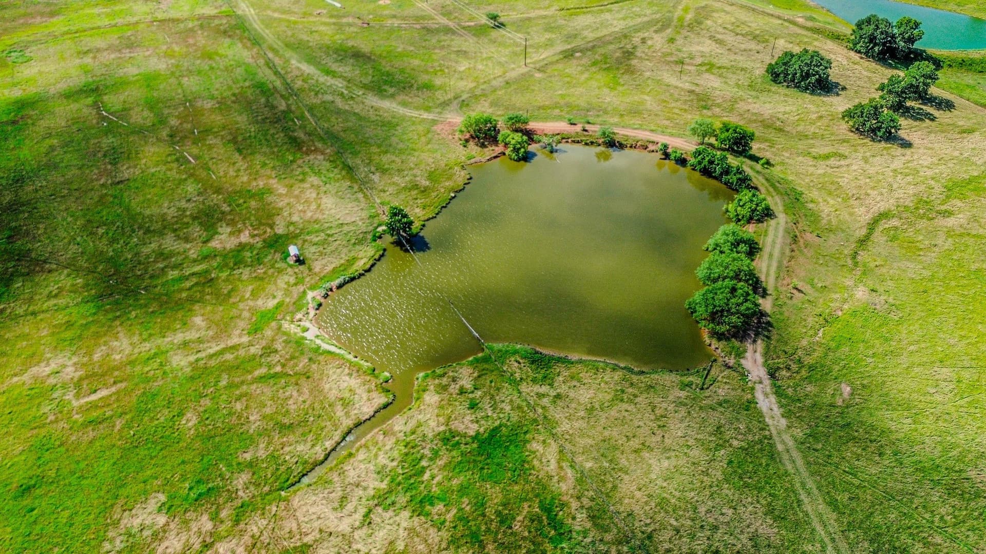 68.81 acres in Parker County - photo 8