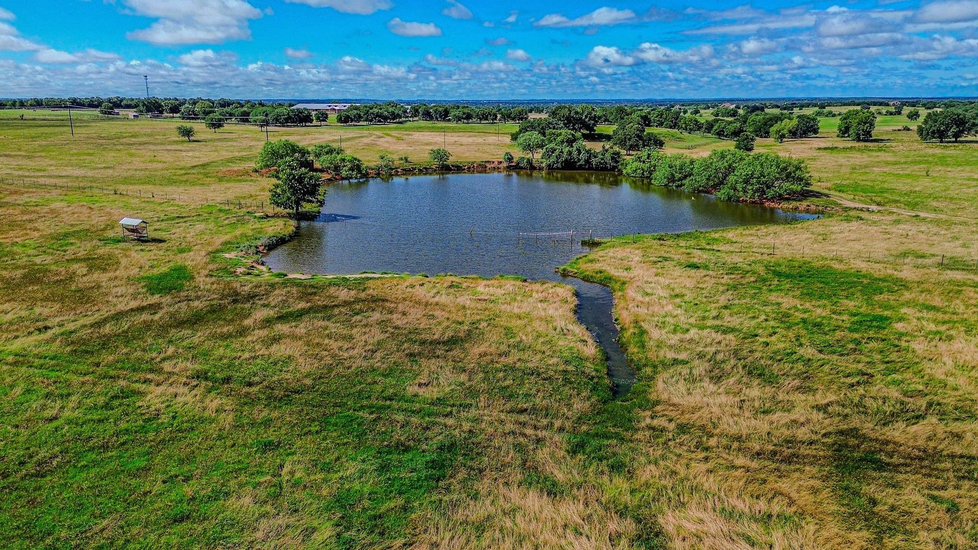 68.81 acres in Parker County gallery image 3