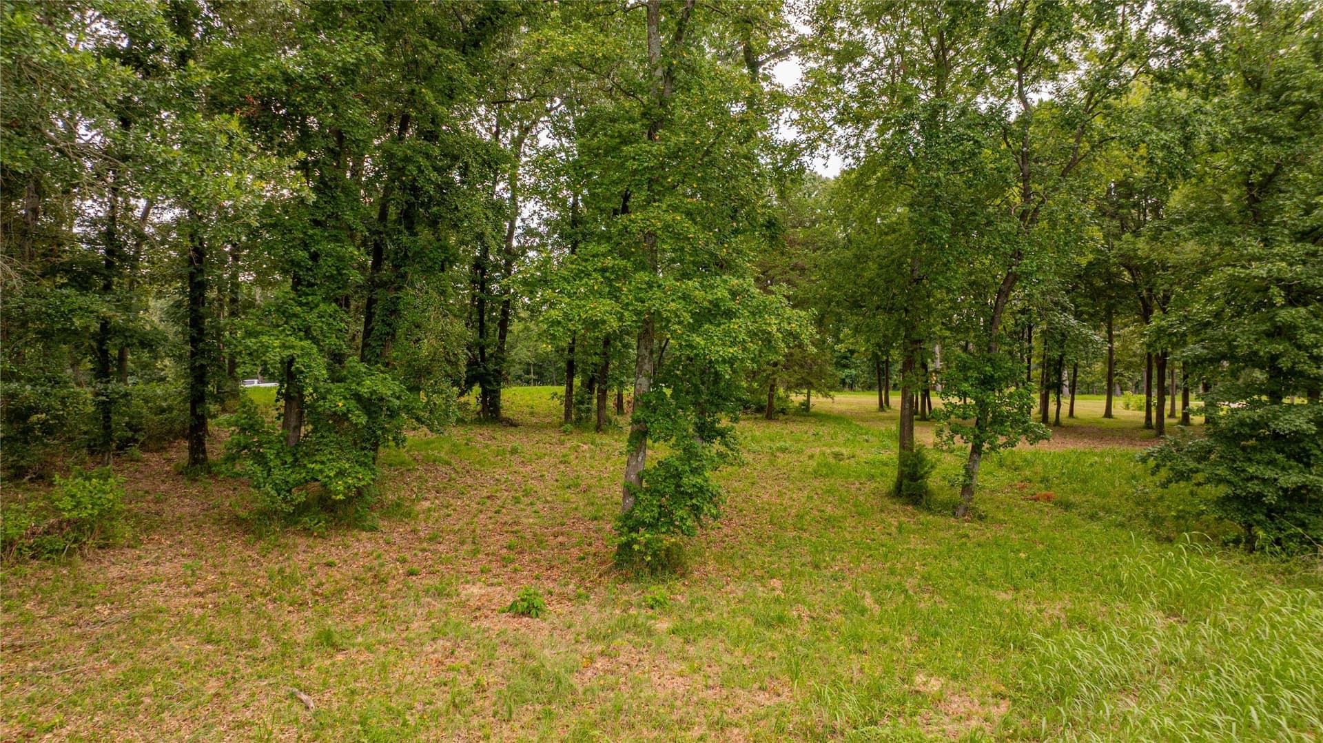 1.04 acres in Franklin (TX) County - photo 12