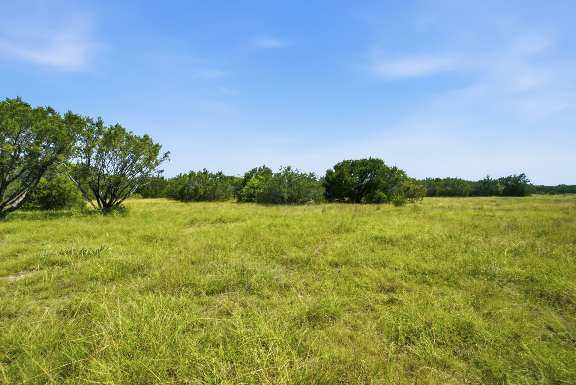 45 acres in Bosque County gallery image 4