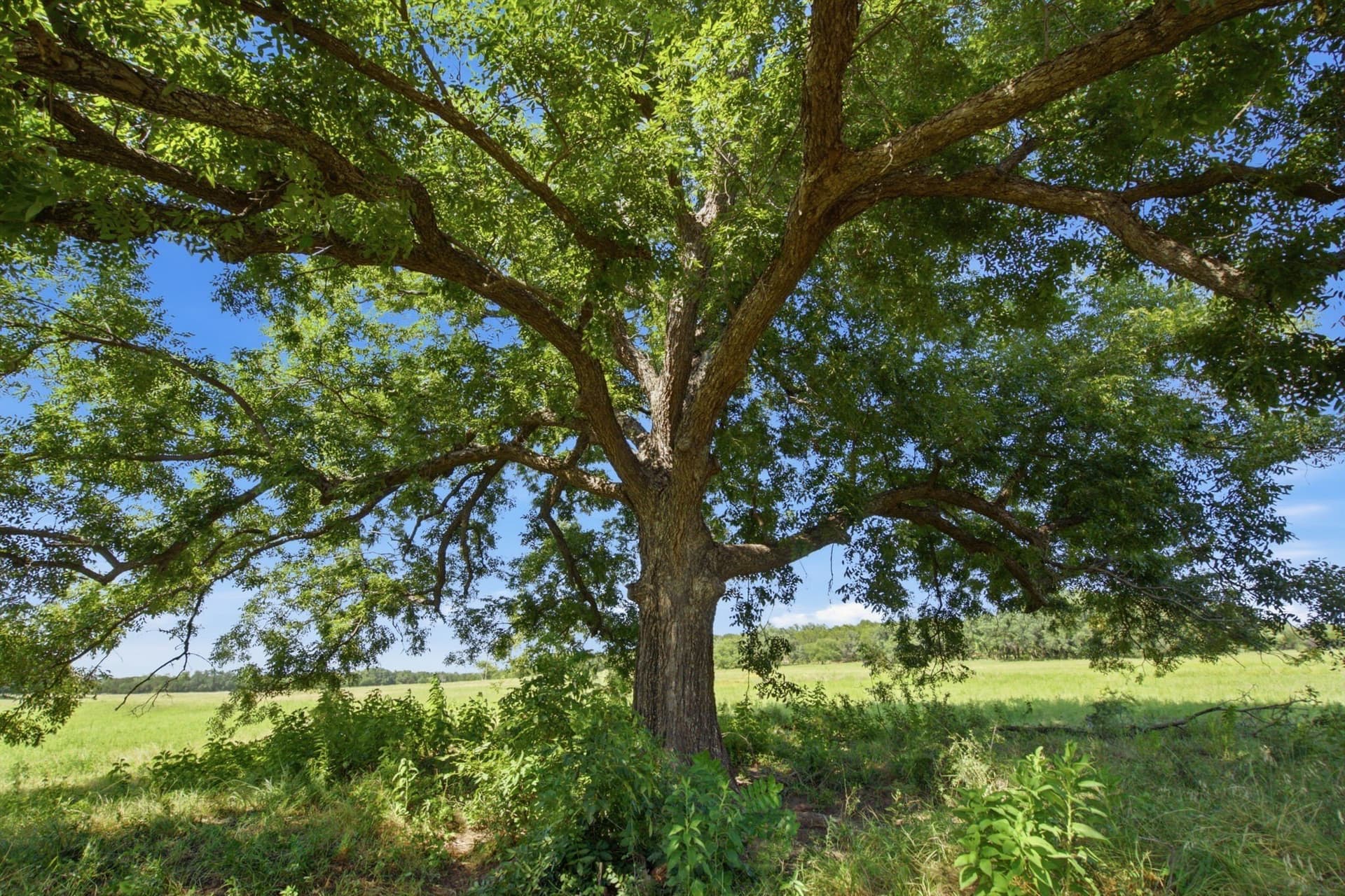 45 acres in Bosque County - photo 21